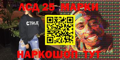 шишки Можга
