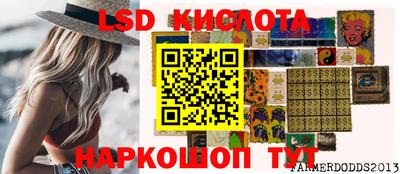 шишки Можга