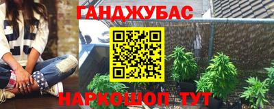 шишки Можга