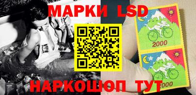 гидропоника Моздок