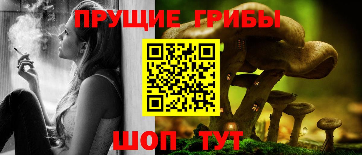 купить наркотик  Вход с VPN  Таганрог  Галлюциногенные грибы MAGIC MUSHROOMS 